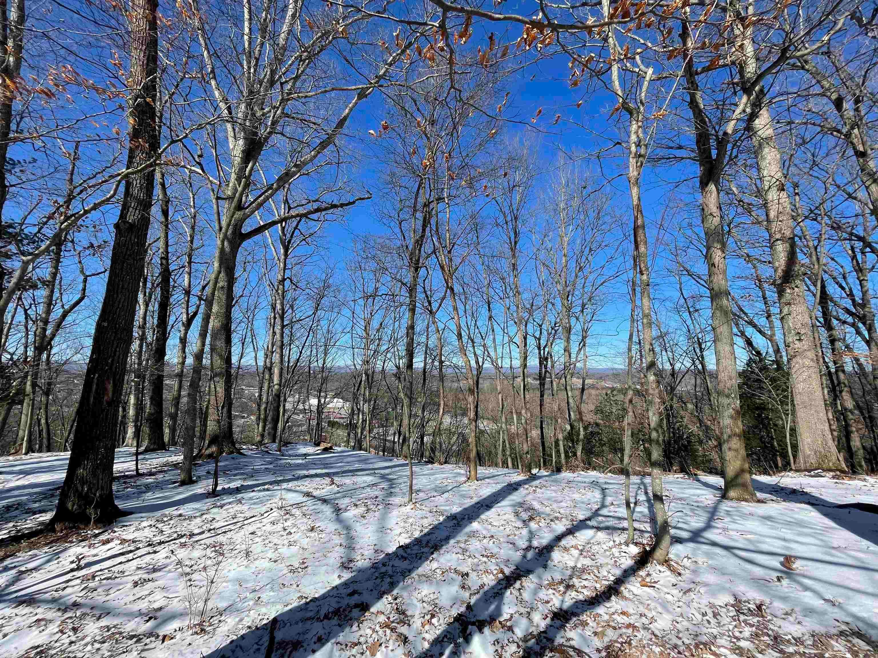 Tbd Ridgecrest Lane Radford, VA 24141 - Photo 6 of 11 Gallery Image 6