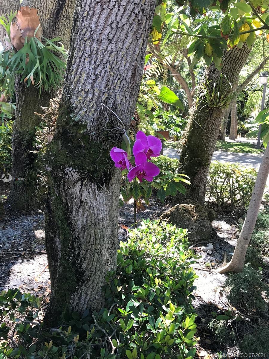 5278 Boca Marina Circle South Boca Raton, FL 33487 - Photo 32 of 37 a view of a flower in a garden