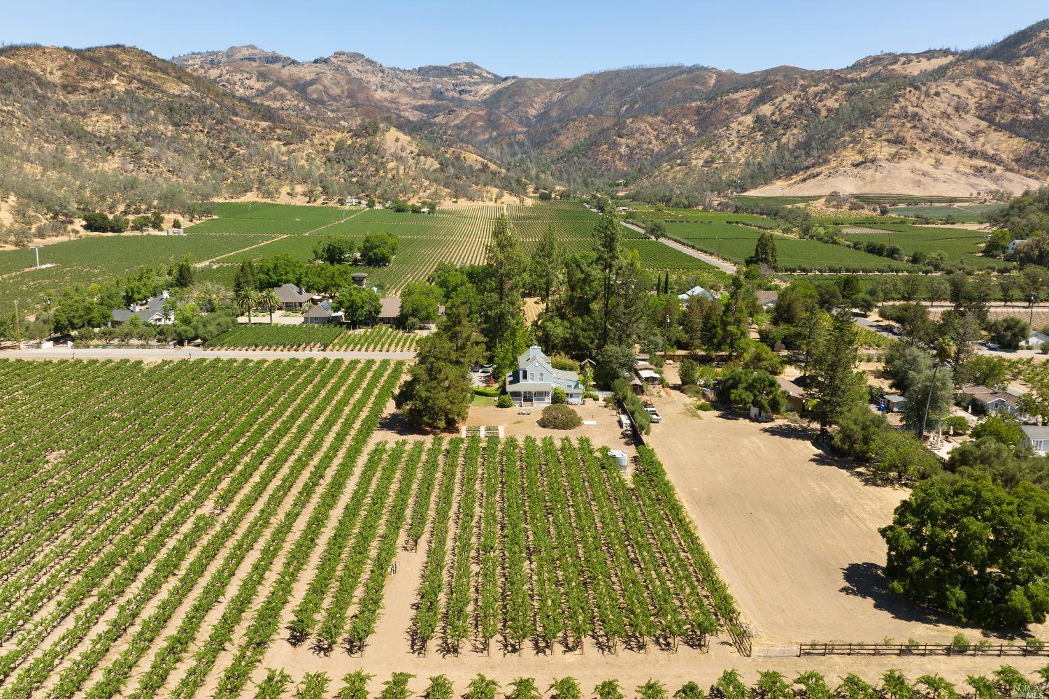 a view of swimming pool with a garden