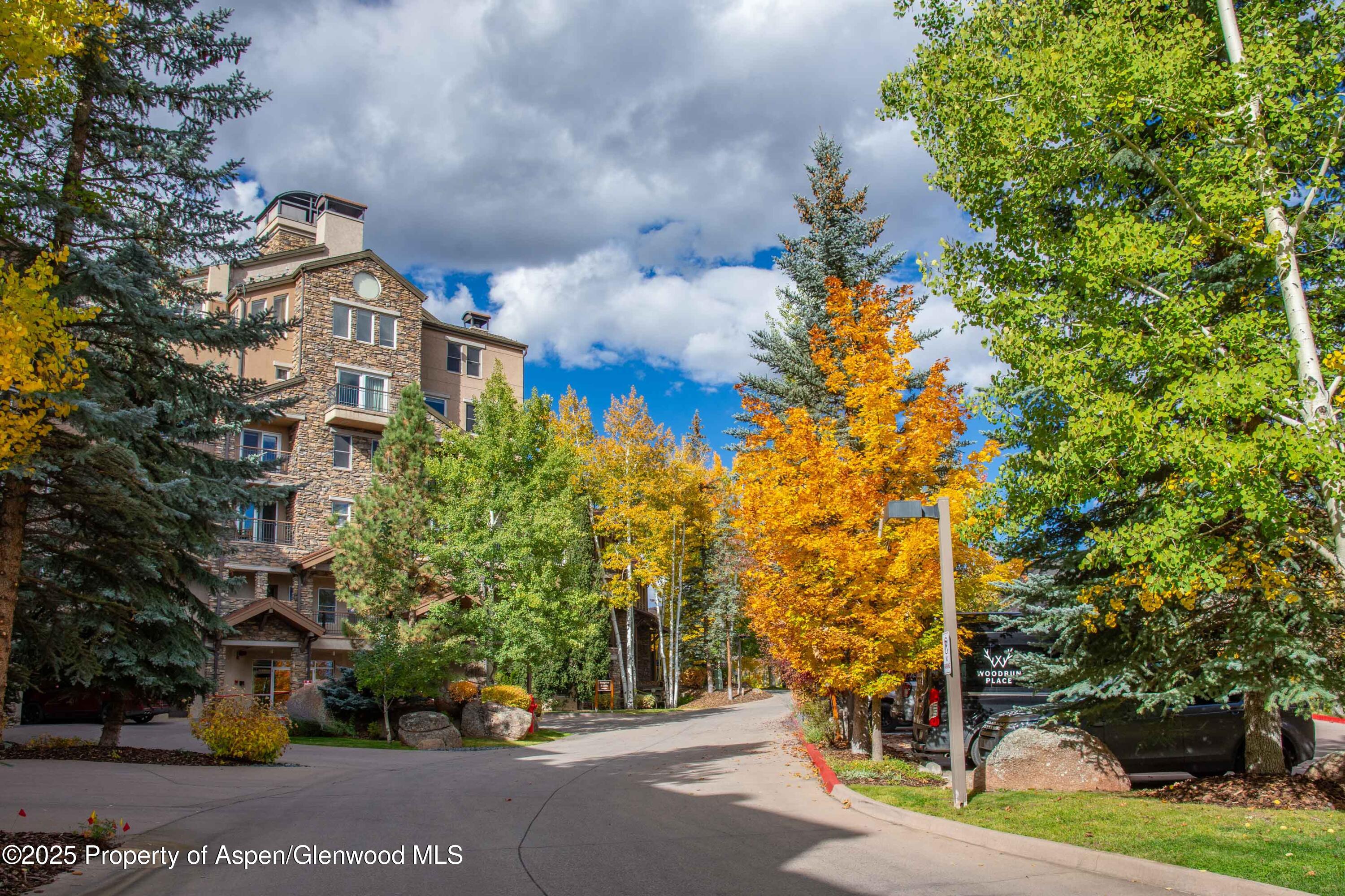 425 Wood Road, Unit 10 Snowmass Village, CO 81615 - Photo 25 of 28 DSC_5773