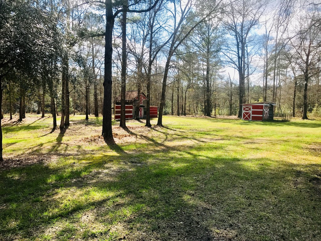 157 Bridge Creek Road Ridge Spring, SC 29129 - Photo 10 of 18