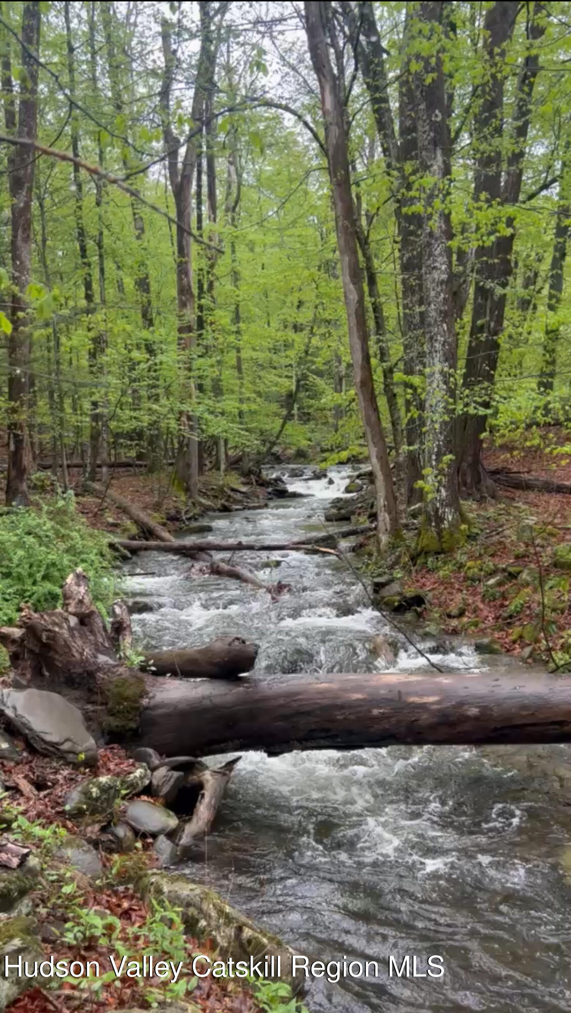 36 Cross Patch Road Willow, NY 12495 - Photo 23 of 32 a view of a yard