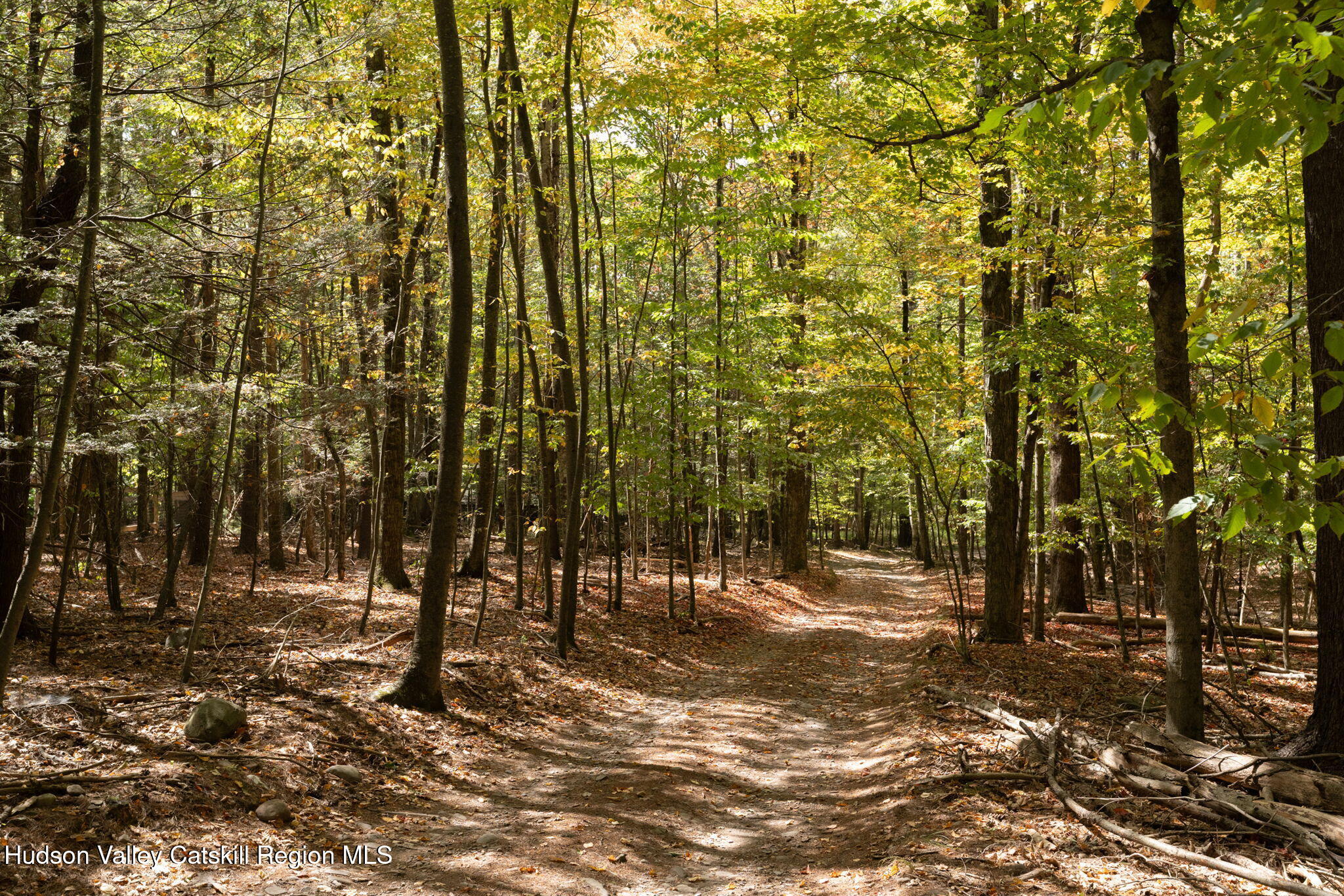 36 Cross Patch Road Willow, NY 12495 - Photo 24 of 32 a view of outdoor space with deck and trees