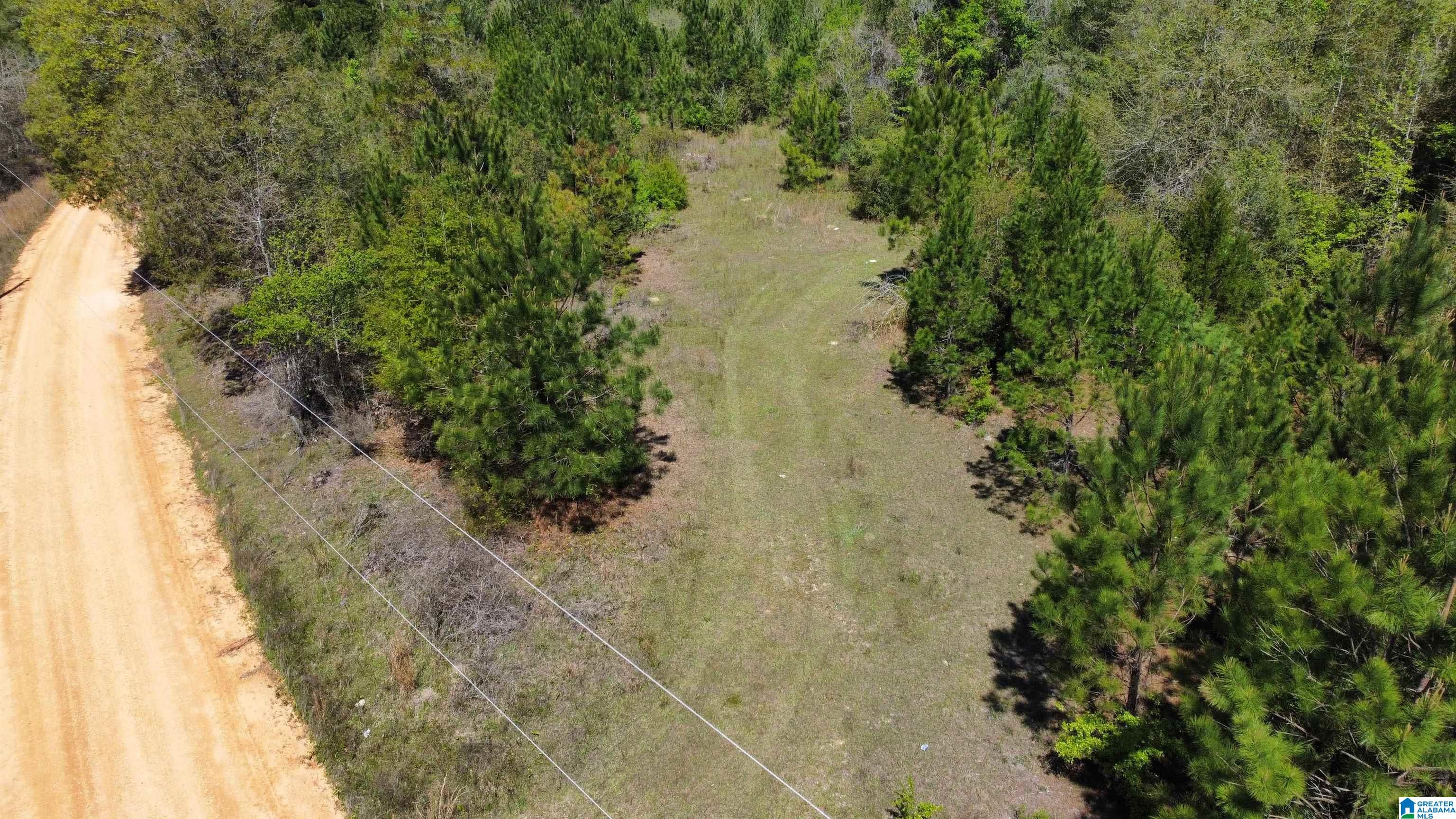 0 Richardson Road Brewton, AL 36426 - Photo 4 of 47
