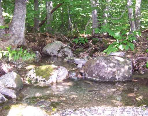 Lot 12-2 Winkumpaugh Road Ellsworth, ME 04605 - Photo 3 of 8 Land.
