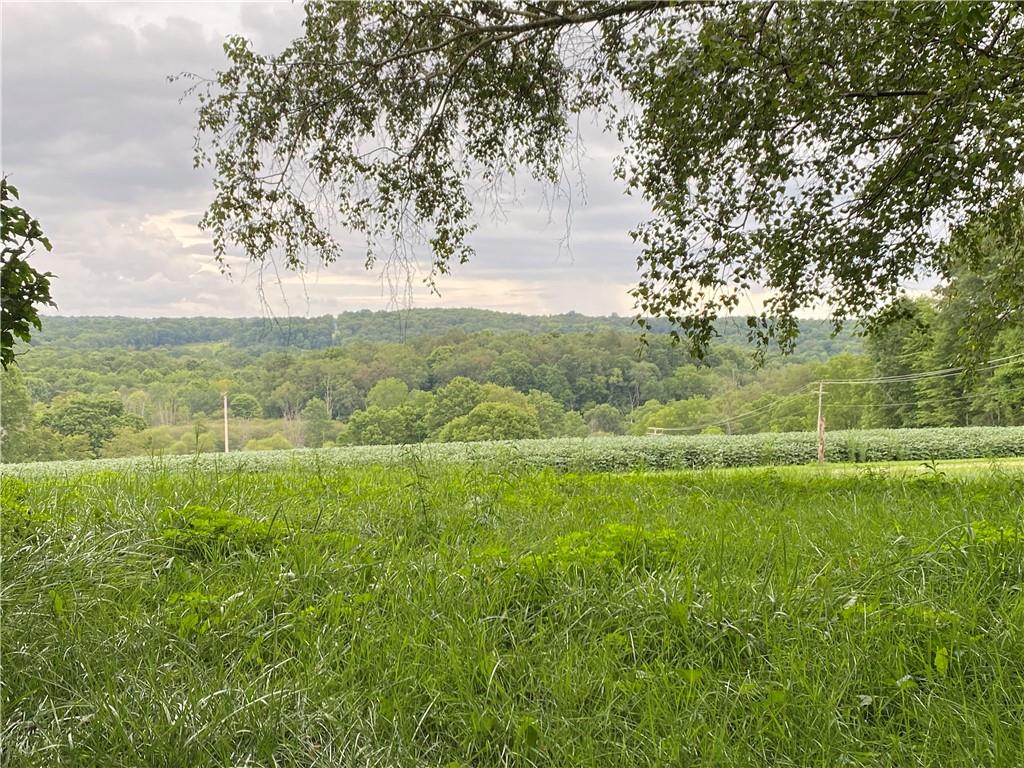 55 Breese Road Fredonia, PA 16124 - Photo 4 of 19