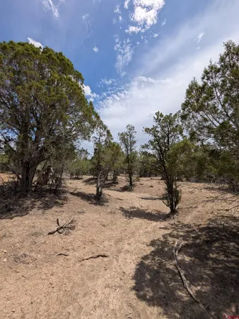 $100,000 | 160 Cedar Drive, Pagosa Springs, CO 81147