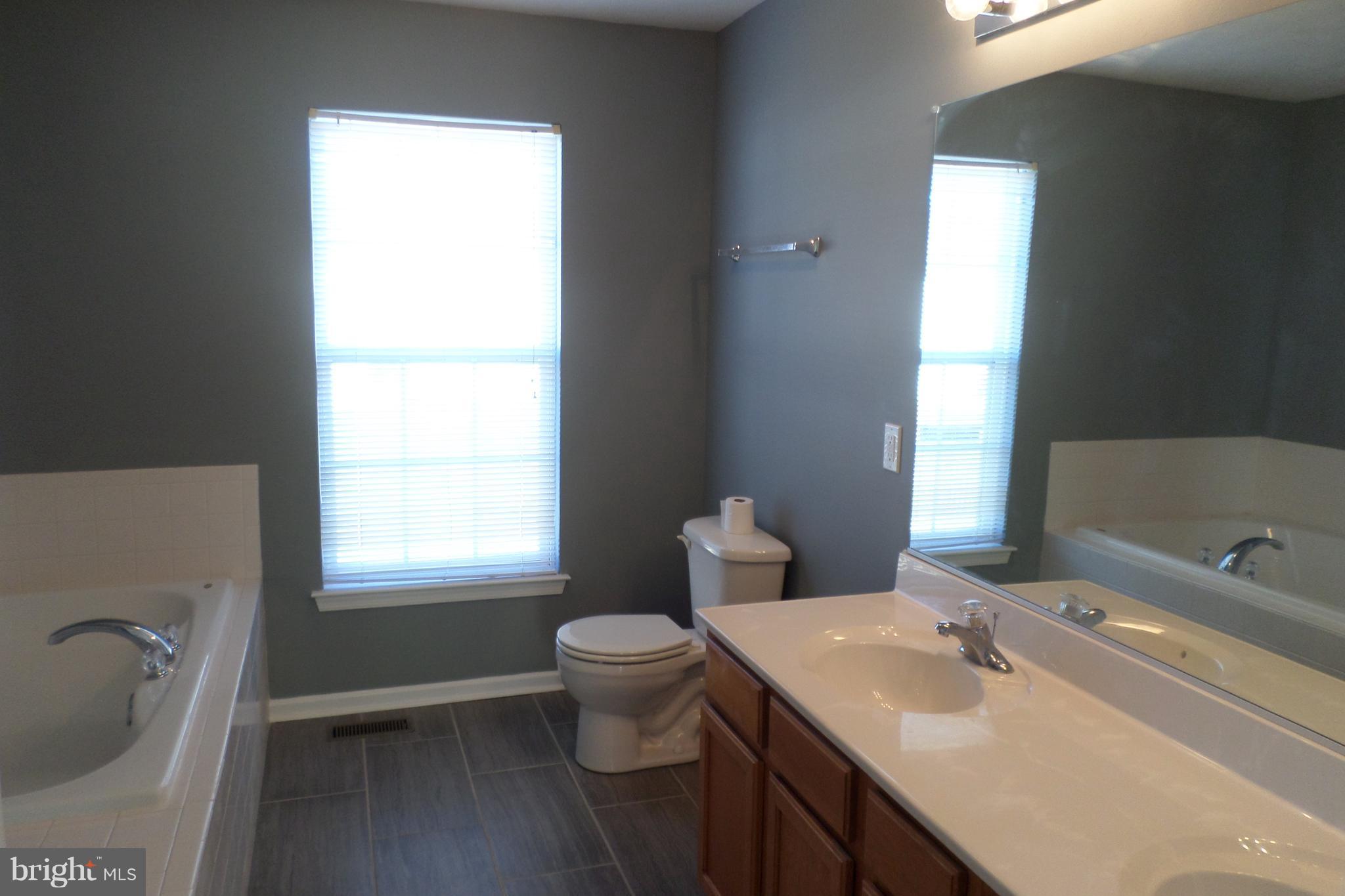 1210 Painted Fern Road Denton, MD 21629 - Photo 22 of 23 Bath (Master)
