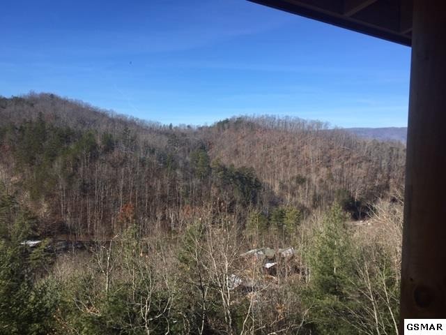 44 Smoky Ridge Way Sevierville, TN 37863 - Photo 5 of 29