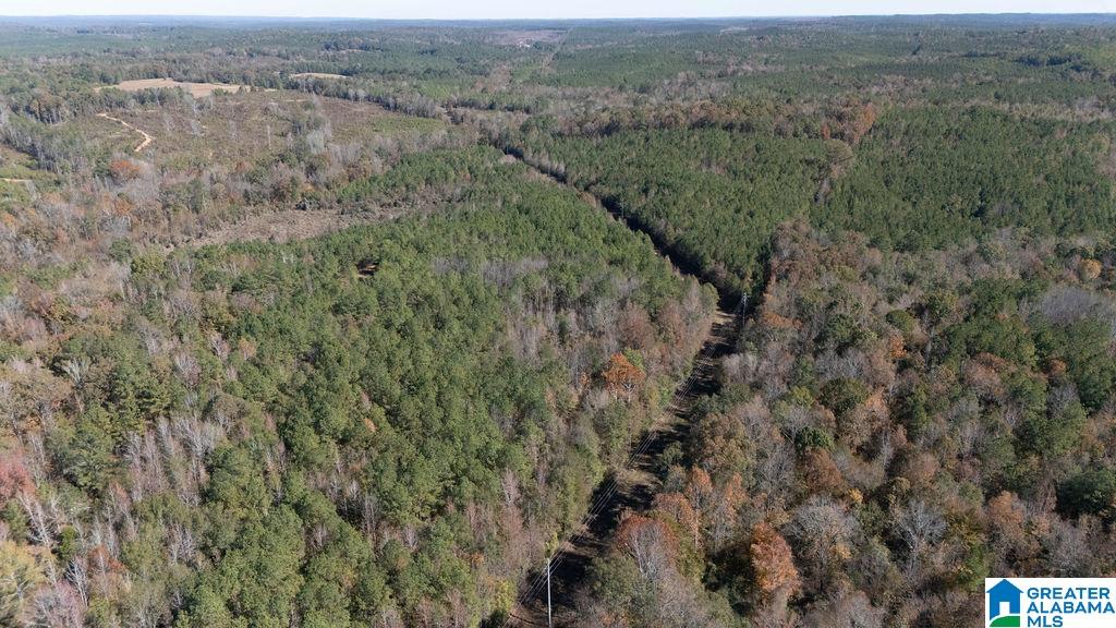 1122 Montevallo Road Centreville, AL 35042 - Photo 55 of 69