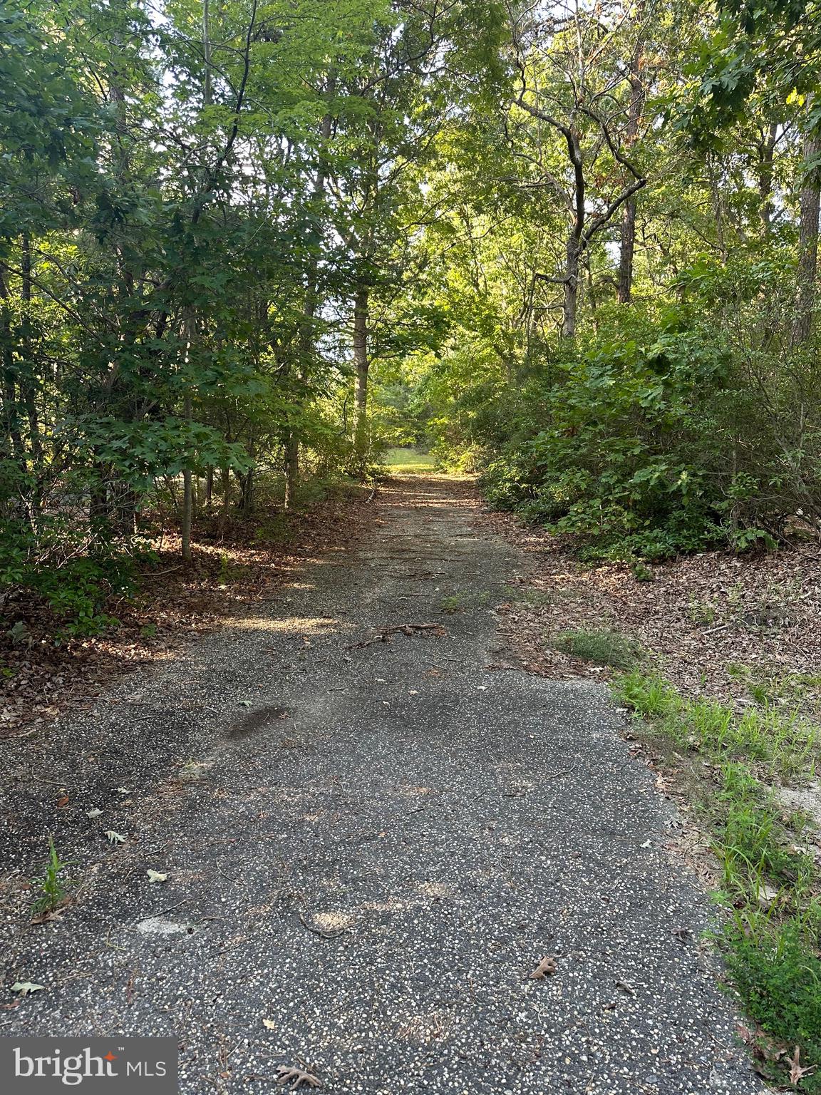 271 Factory Road Cedarville, NJ 08311 - Photo 3 of 3 Gallery Image 3