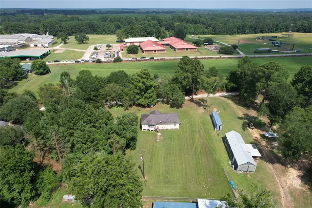 a view of a tree in the middle of a yard