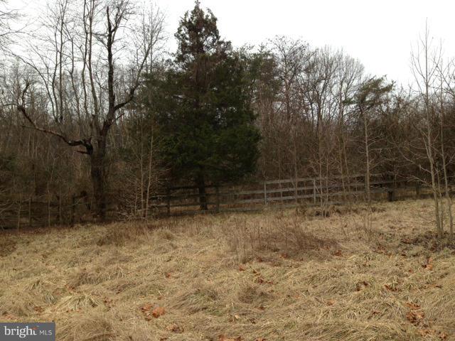 16546 Ridge Road King George, VA 22485 - Photo 5 of 6 View