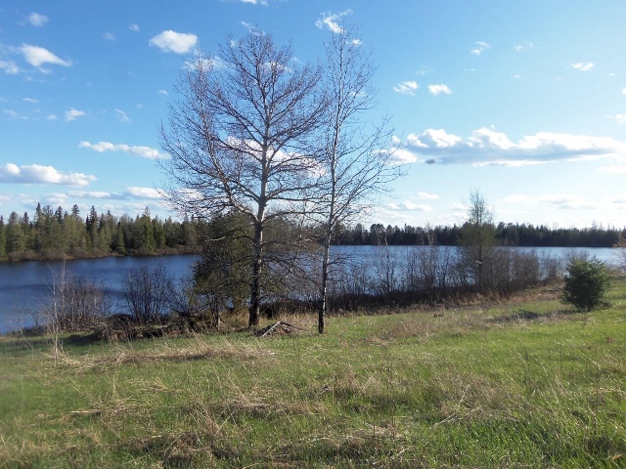 Lot 24 Weber Road Mercer, WI 54547 - Photo 7 of 19 Gallery Image 7