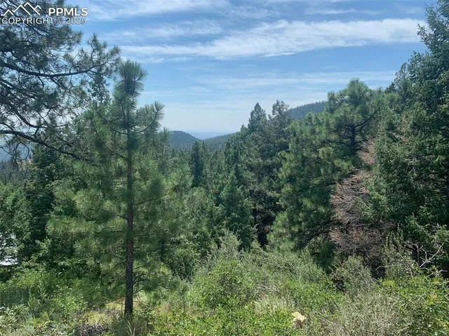 a view of a green field