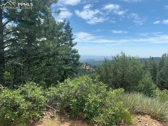 a view of a green field