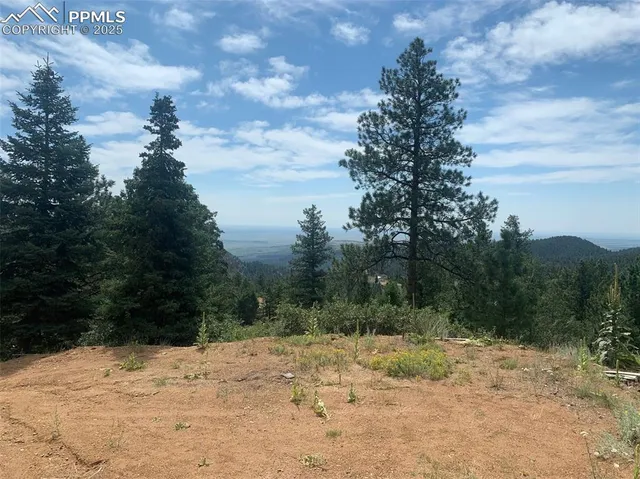 a view of a yard covered with snow on the road