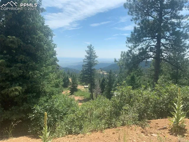 a view of a yard with a tree