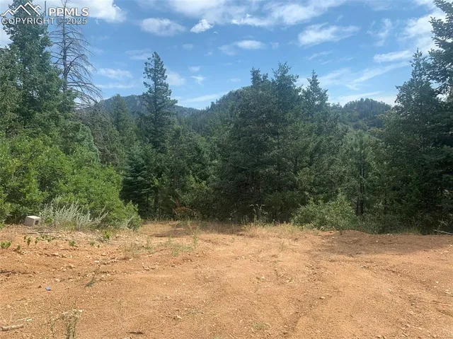 a view of outdoor space and yard