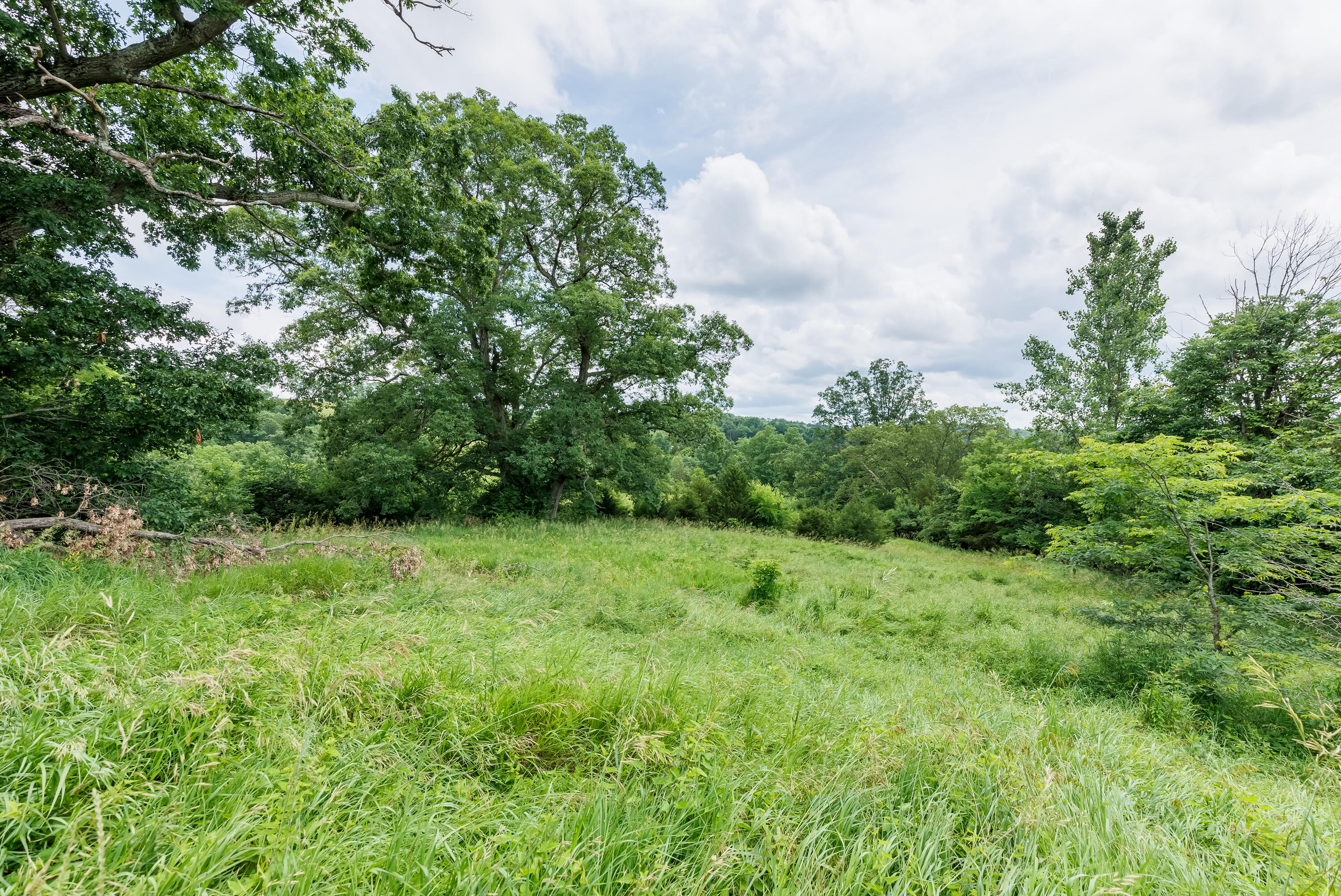 1041 Kidwell Road Butler, KY 41006 - Photo 49 of 50 Gallery Image 49