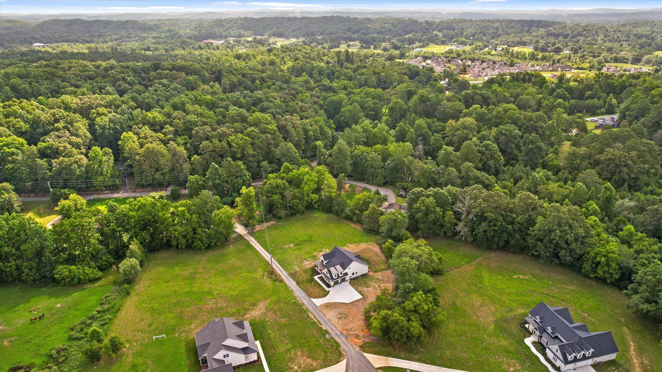 3597 Prospect Church Road Apison, TN 37302 - Photo 65 of 68 Drone View