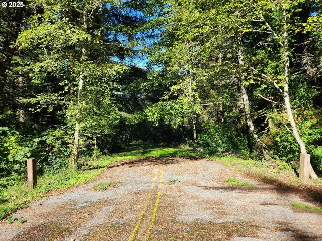 a view of a road with a trees