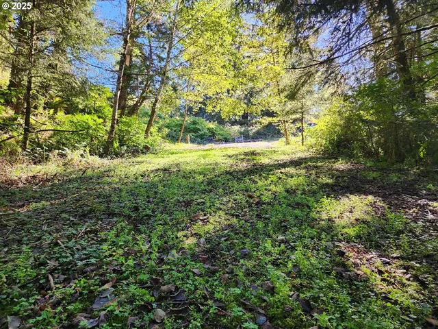 a view of yard with green space