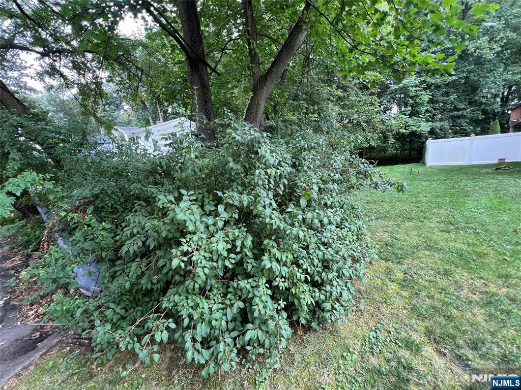 0 Clinton Avenue Washington Township, NJ 07676 - Photo 2 of 3 an outdoor space with lots of trees