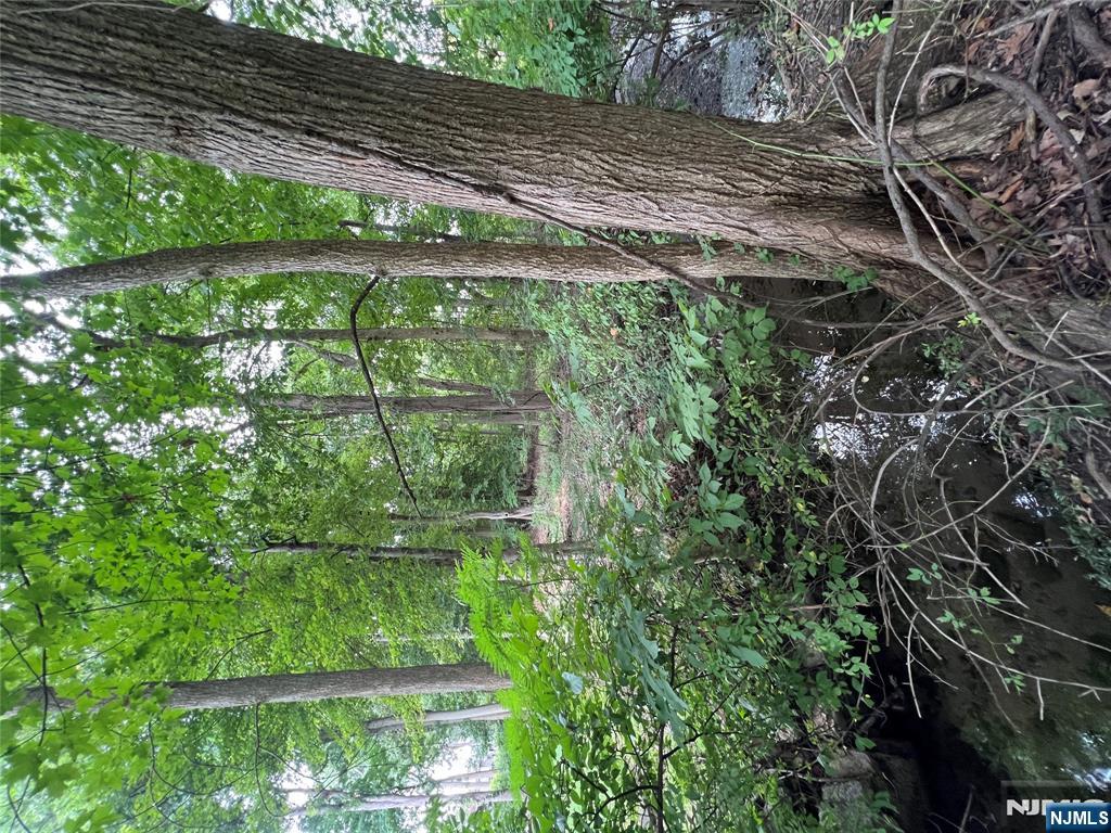 0 Clinton Avenue Washington Township, NJ 07676 - Photo 3 of 3 a view of outdoor space and yard