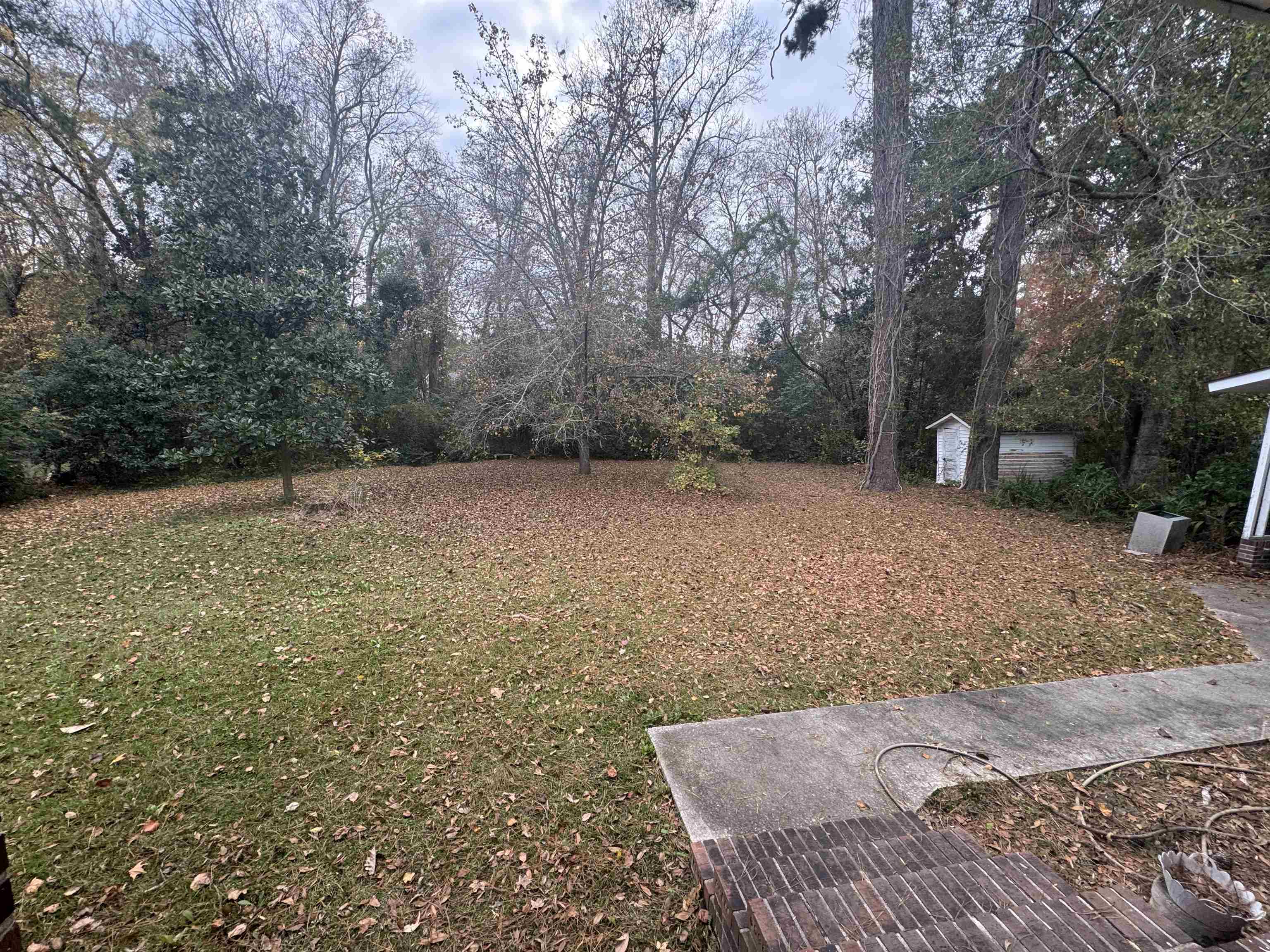 1320 Horseshoe Road Mullins, SC 29574 - Photo 24 of 26