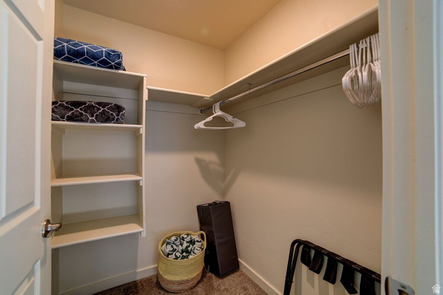 3853 South Red Valley Circle, Unit 22A1 Moab, UT 84532 - Photo 21 of 28 Walk in closet with dark colored carpet