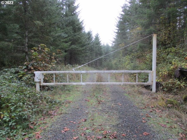 13005 Northwest Ford Road Yamhill, OR 97148 - Photo 1 of 10 Gallery Image 1
