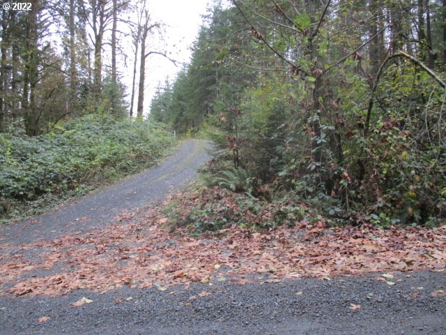 13005 Northwest Ford Road Yamhill, OR 97148 - Photo 3 of 10 Gallery Image 3