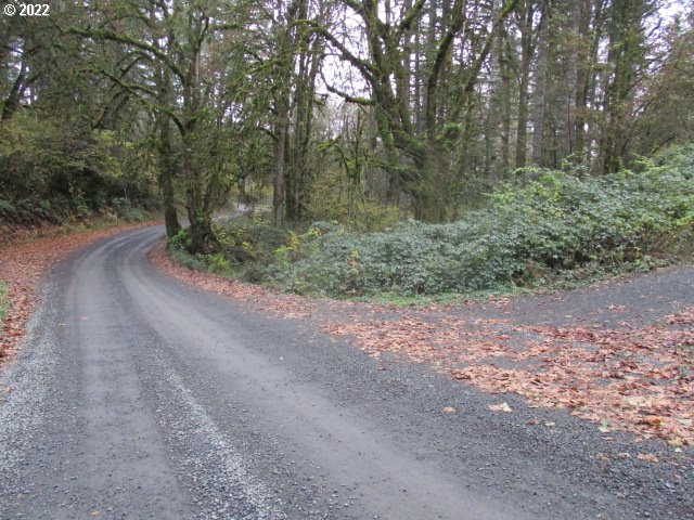 13005 Northwest Ford Road Yamhill, OR 97148 - Photo 4 of 10 Gallery Image 4