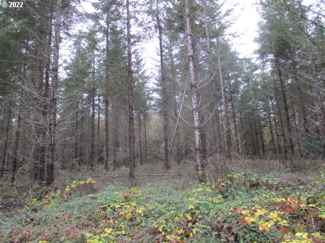 13005 Northwest Ford Road Yamhill, OR 97148 - Photo 8 of 10 Gallery Image 8