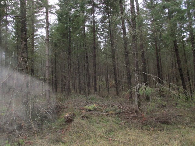 13005 Northwest Ford Road Yamhill, OR 97148 - Photo 9 of 10 Gallery Image 9