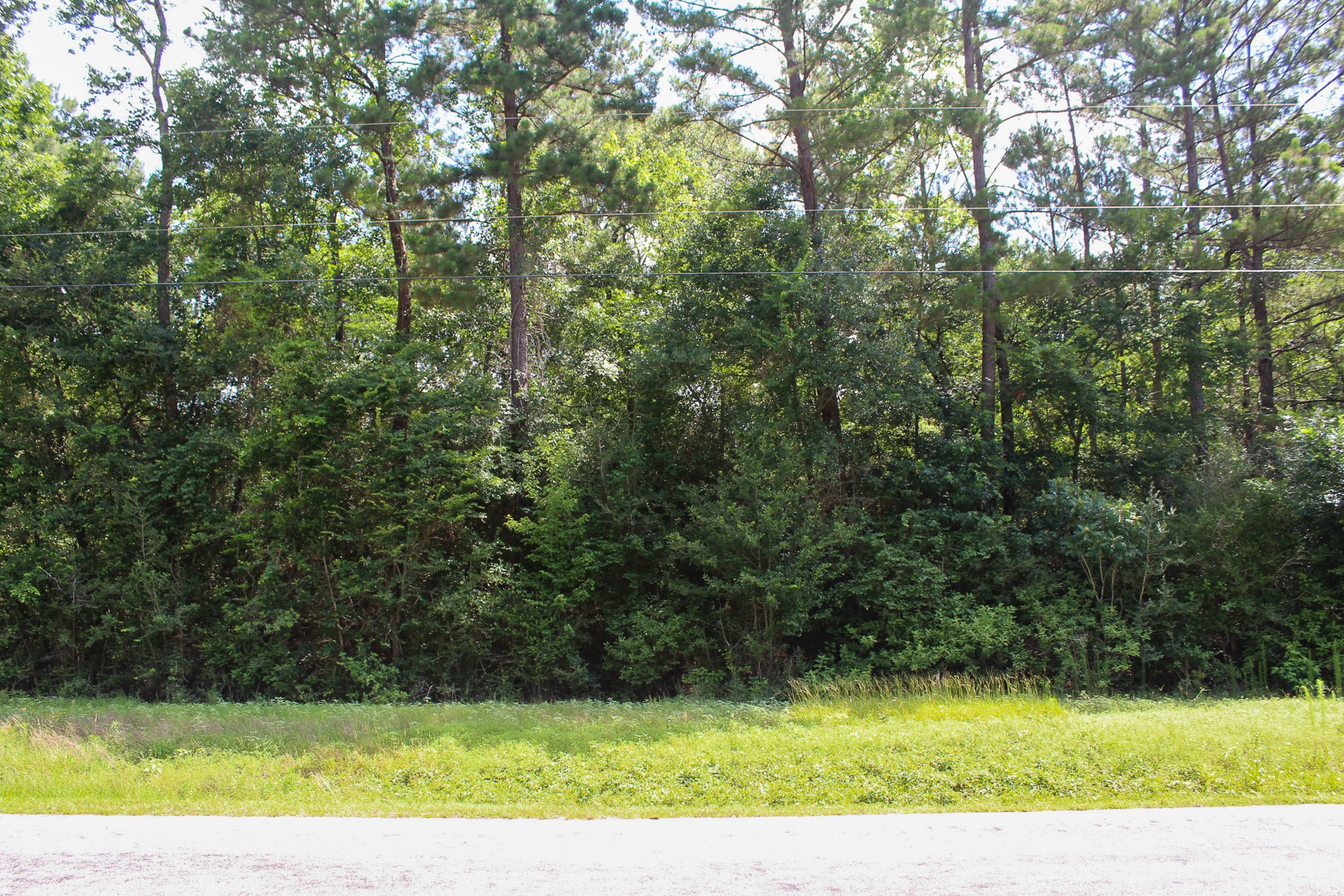 3-b-15-22 Fire Sky Road Huntsville, TX 77340 - Photo 6 of 14 Front of lot