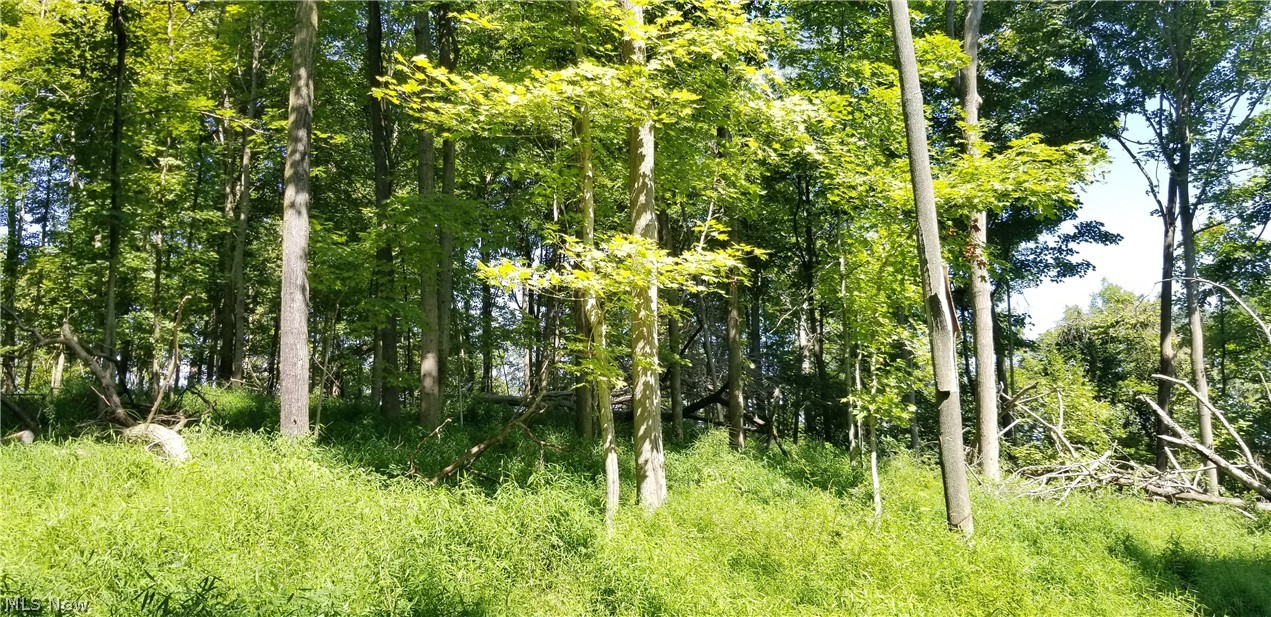 Narrows Road Dresden, OH 43821 - Photo 13 of 35