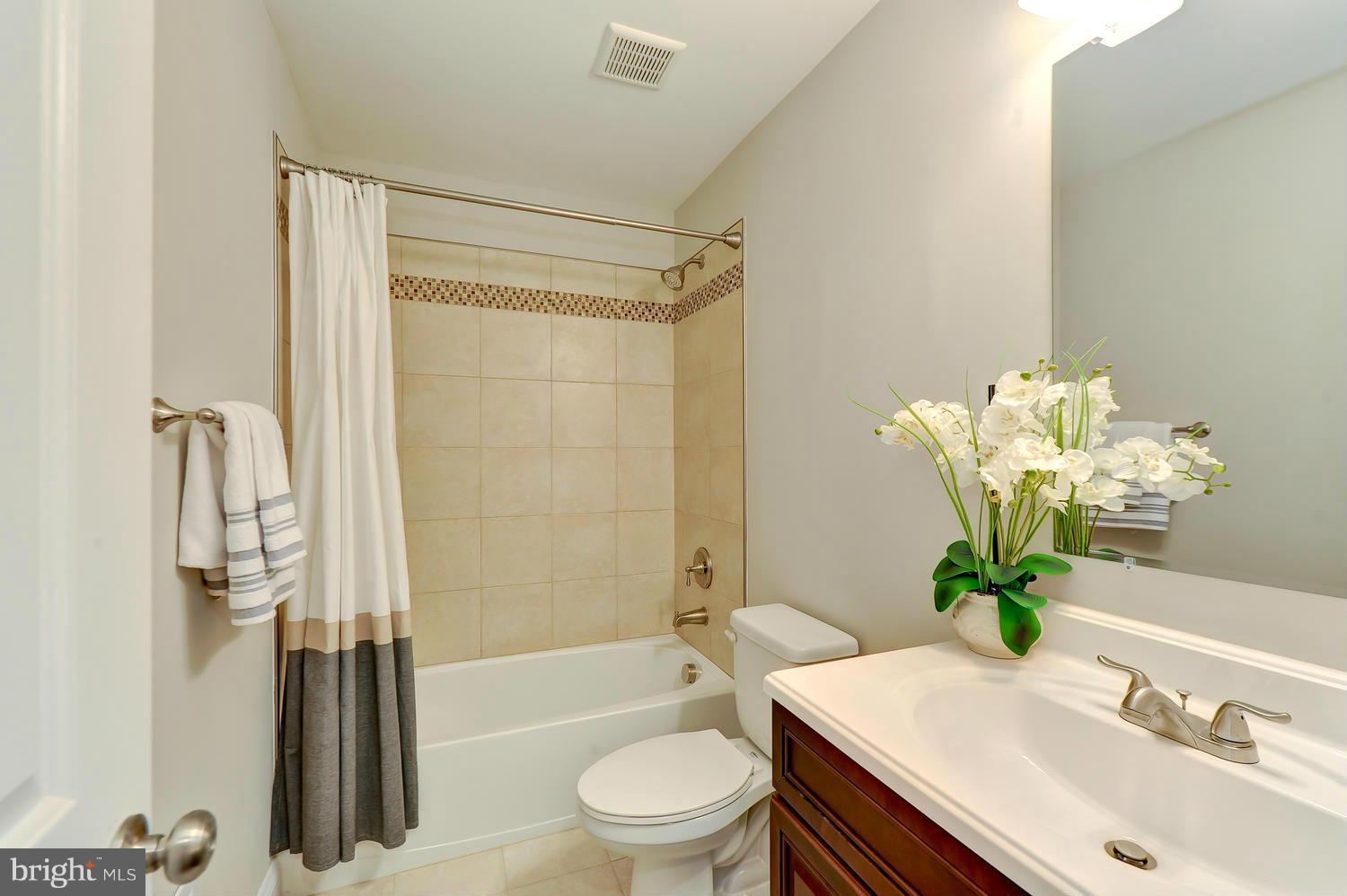 116 West Glebe Road, Unit A Alexandria, VA 22305 - Photo 17 of 18 Bath
