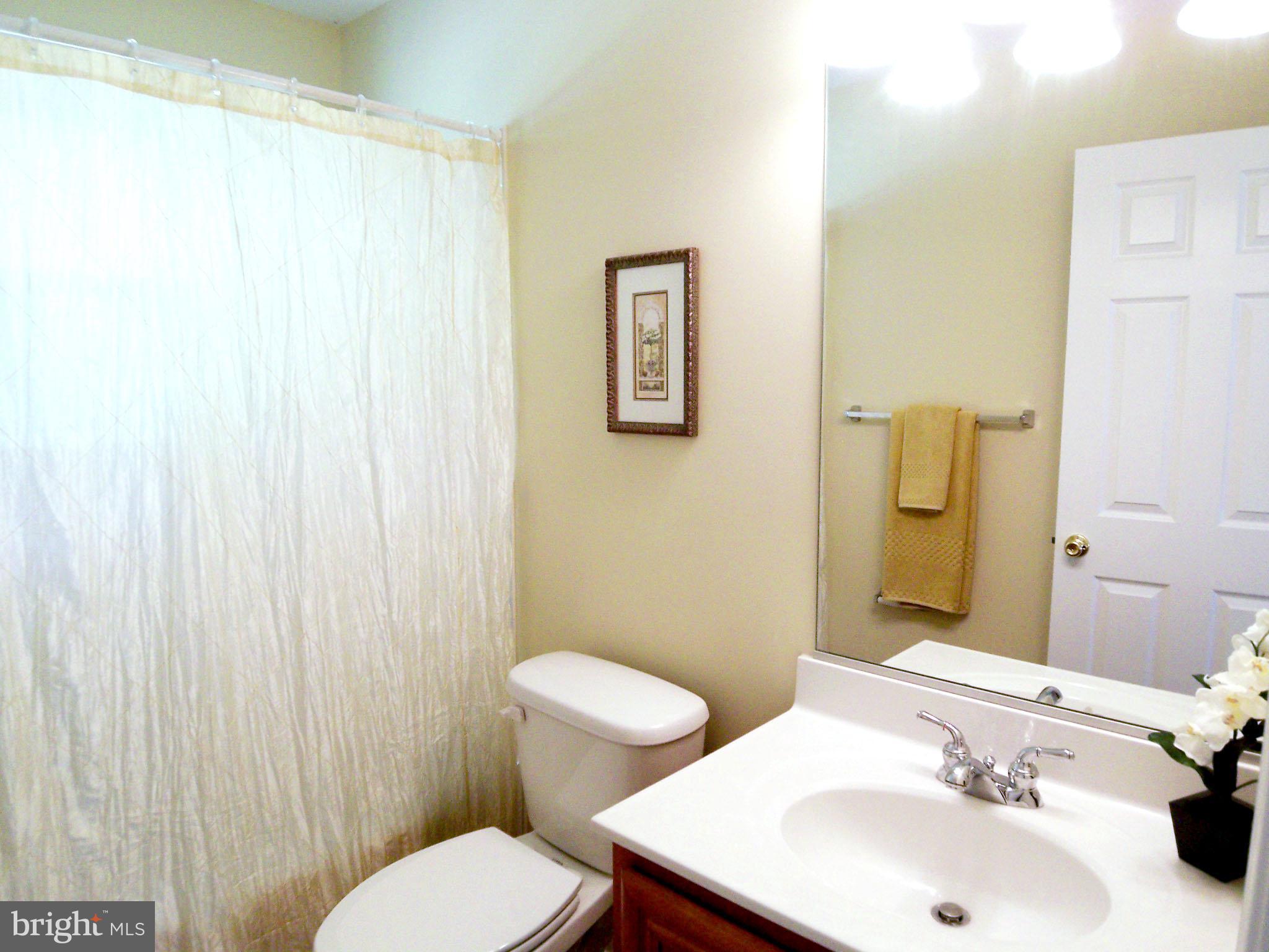 228 Carvel Road Pasadena, MD 21122 - Photo 10 of 20 Attractively Appointed / Remodeled Full Bath