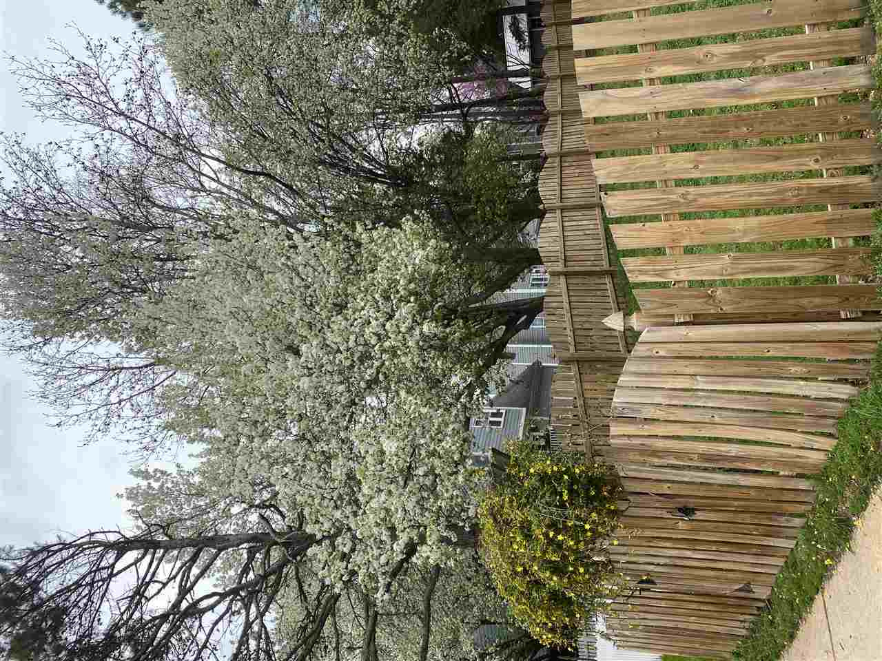 9101 Dawnshire Road Raleigh, NC 27615 - Photo 9 of 9 Photo 9