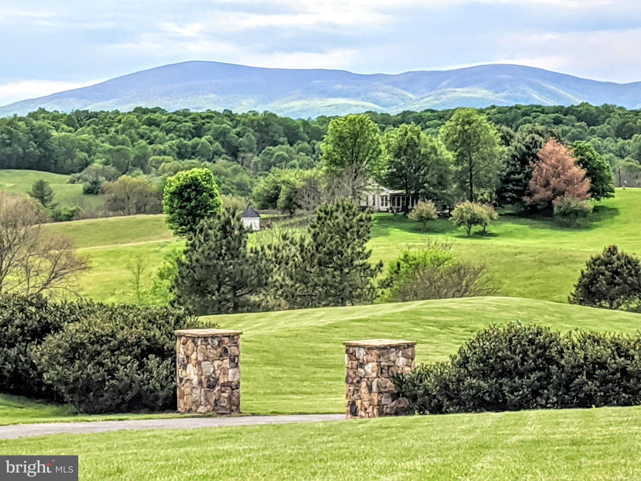 5426 Leeds Manor Road Hume, VA 22639 - Photo 2 of 33 Wow, what an entrance