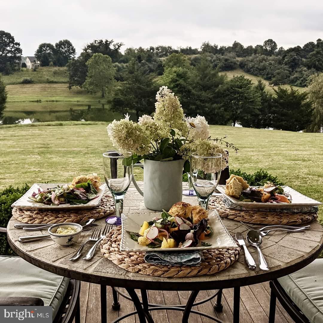 5426 Leeds Manor Road Hume, VA 22639 - Photo 25 of 33 Lunch on the porch