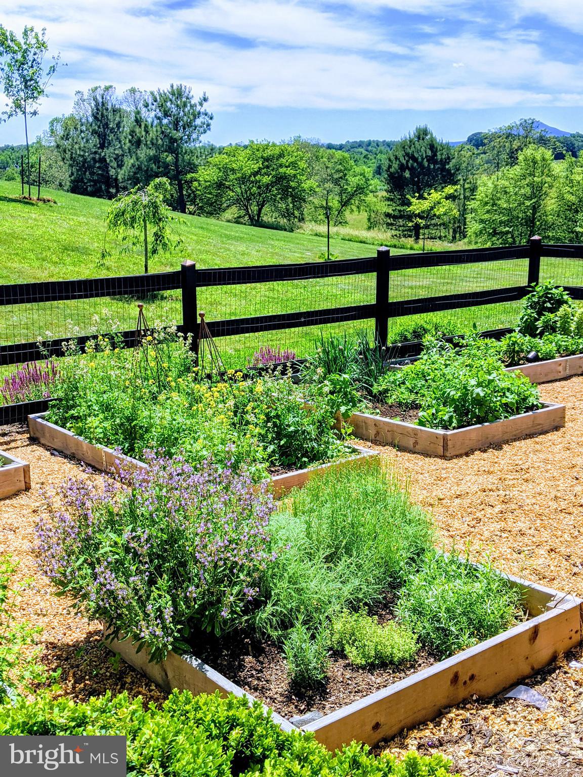 5426 Leeds Manor Road Hume, VA 22639 - Photo 26 of 33 Kitchen Garden