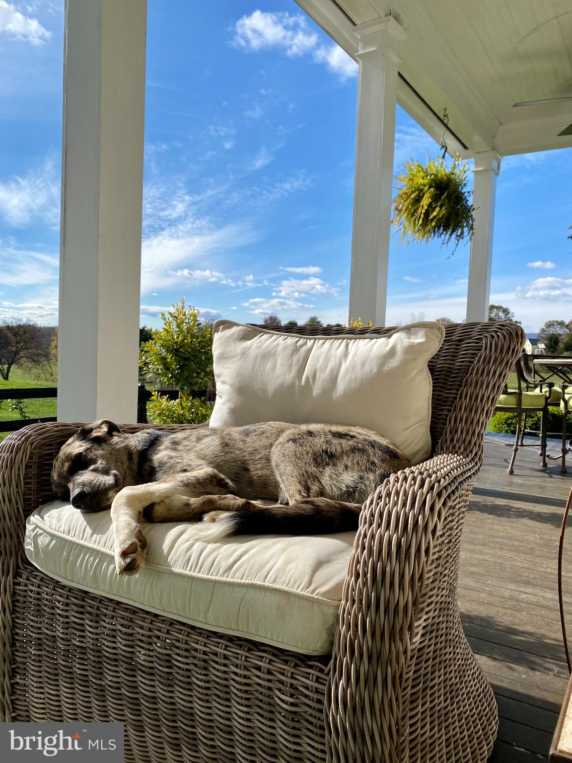 5426 Leeds Manor Road Hume, VA 22639 - Photo 33 of 33 Relax and enjoy!