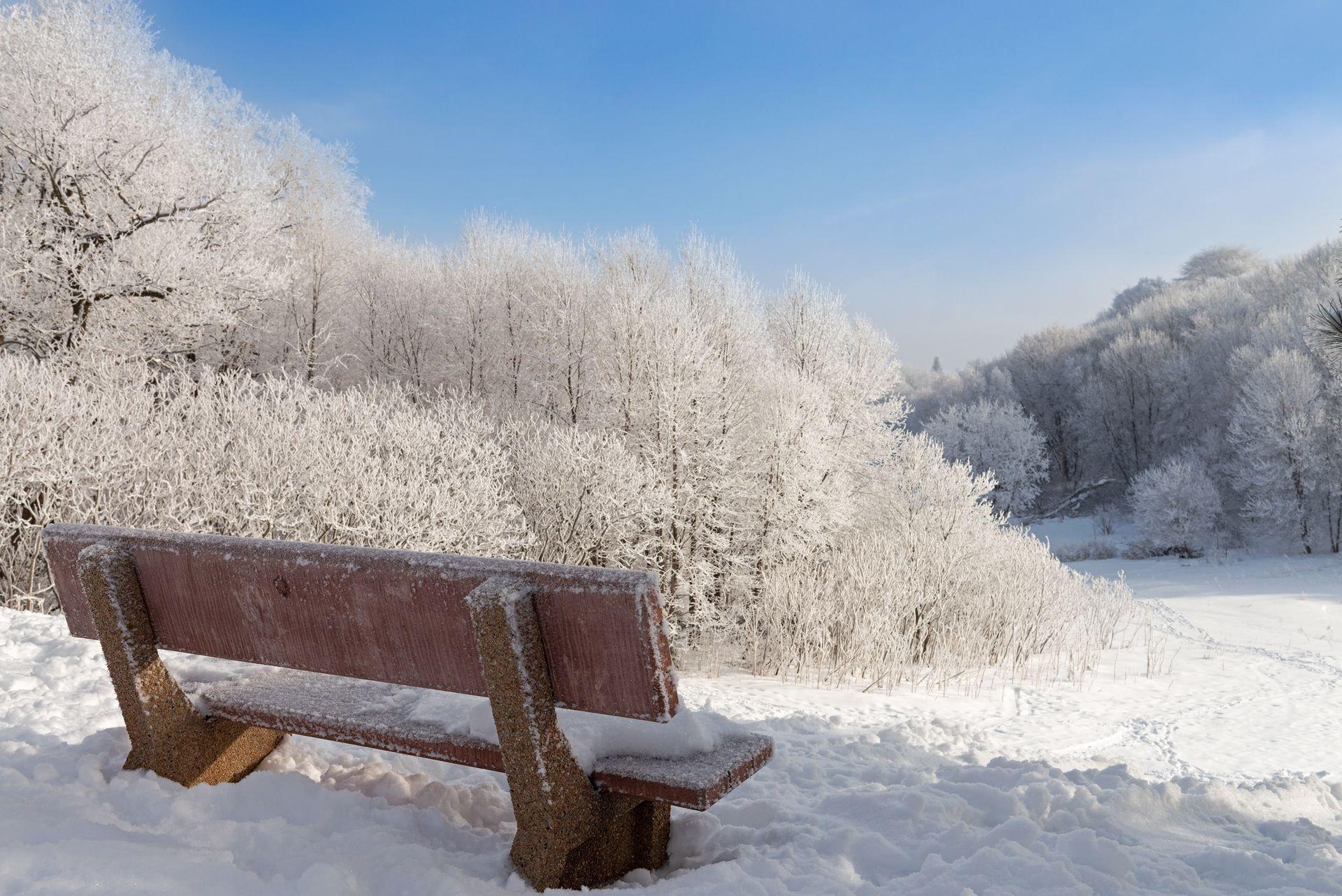 7641 Nicholas Way Chanhassen, MN 55317 - Photo 62 of 68