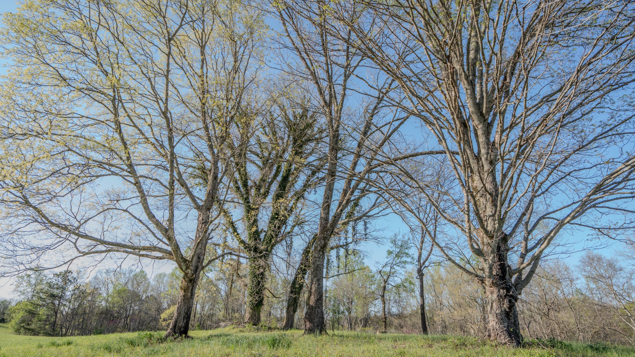 476 Waterloo Road Westpoint, TN 38486 - Photo 12 of 17