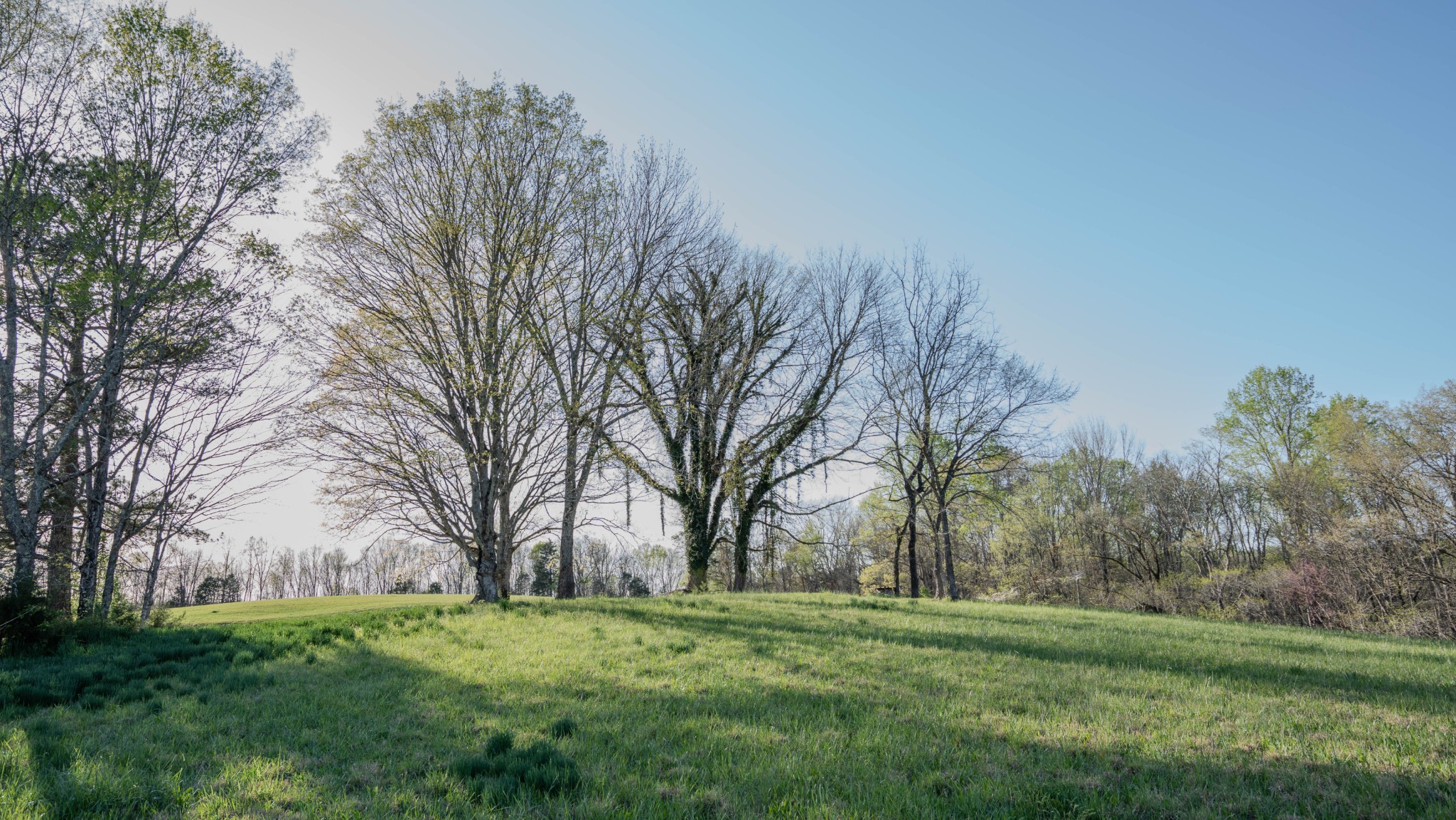 476 Waterloo Road Westpoint, TN 38486 - Photo 14 of 17