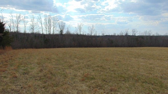 Beulah Road Nathalie, VA 24577 - Photo 7 of 15 Gallery Image 7
