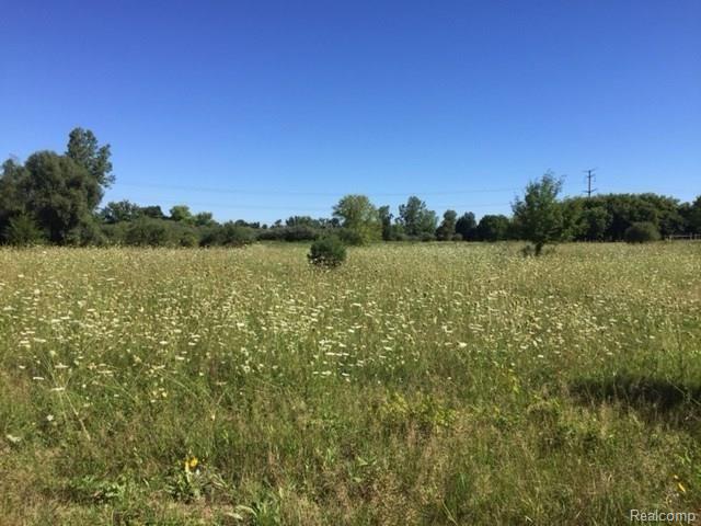Parcel B Parcel B Ray Road Goodrich, MI 48438 - Photo 6 of 6